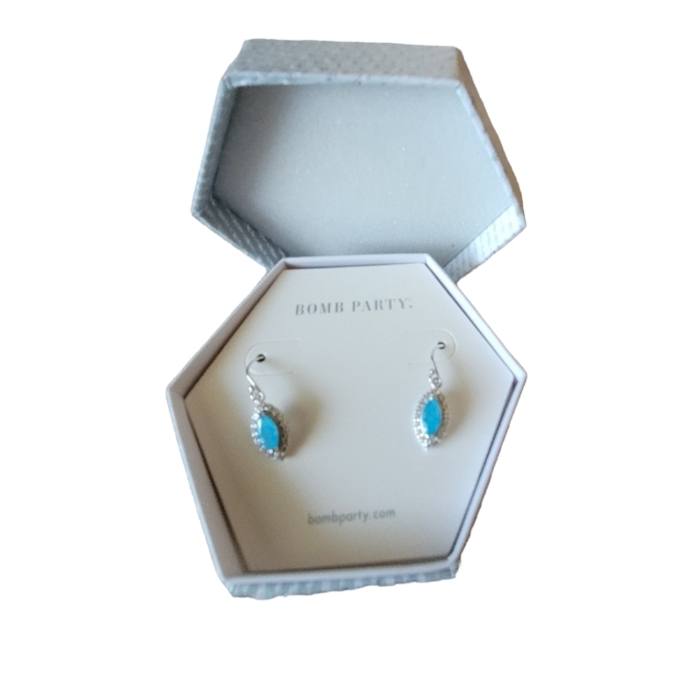 The Sterling Club Collection Aquamarine Ice and Sterling Silver Earrings NIB